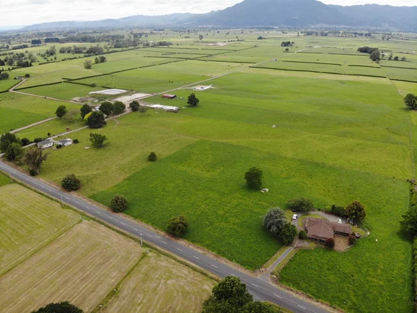 Dairy Farm for Family Owners